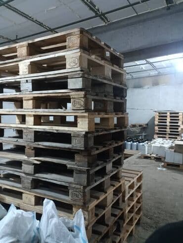 принимаем яйца: Поддон Для пищевой промышленности, Б/у, В наличии — 4