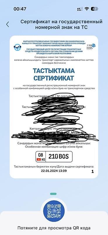 210: Сертификат на государственный регистрационный номерной знак для ТС — 1