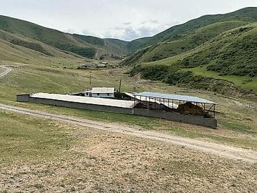 уй сатык: Кой короо, 100 соток, Иштеп жаткан, Скважина, Электр энергиясы — 8