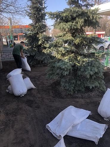 семенной: Услуги по озеленению и подготовке газона - Профессиональная — 4