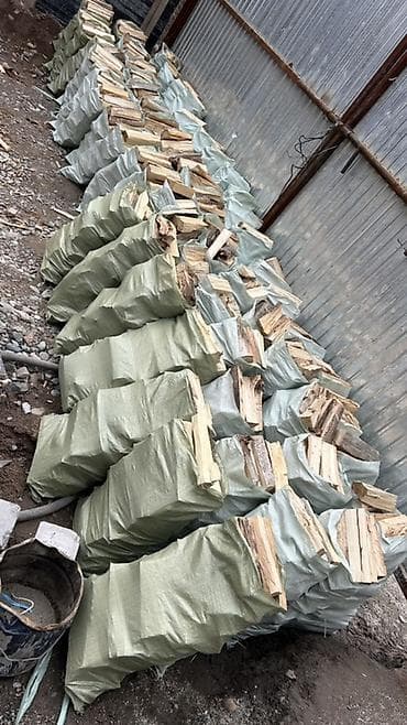 дерево береза: Дрова Тополь — 1