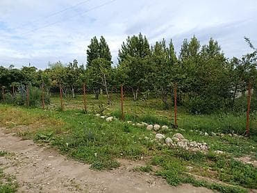 Дома: Уй сатылат. Ысык Колдо Чон Сары Ой айылынан. Пансионат Алтын — 4