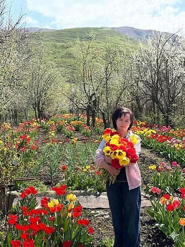 букет из бабочка: Тюльпаны срезом оптом Бишкек собираются ночью когда бутоны закрыты - — 5