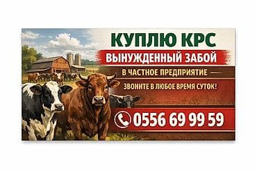 Работаем 24.7 at lalafo.kg Работаем 24.7