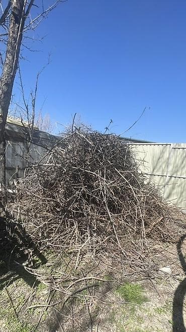 комур работа: Отун Өзү алып кетүү — 2