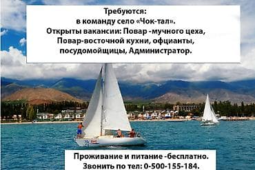 Жумуш: Талап кылынат Официант Тажрыйбасыз, Төлөм: 10 күн сайын — 1