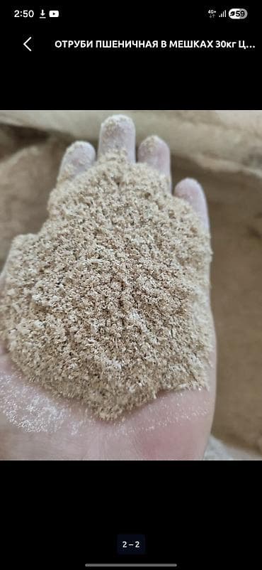 корм жом: Пшеничные отруби (кебек) цена: мешками 22с/кг, росыпью 21с/кг - — 3