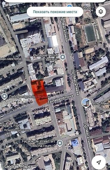 бизнес талас: Продажа коммерческого участка с действующим объектом на первой линии — 4