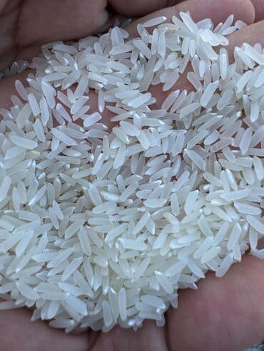 чемодан с инструментами купить: Рис Ташкентский LAZER, Шардара — длиннозерный шлифованный рис в мешке — 3