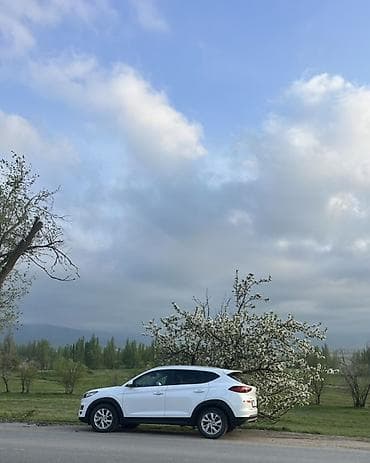 sprinter cdi: Hyundai Tucson: 2019 г., 2 л, Автомат, Дизель, Кроссовер — 8