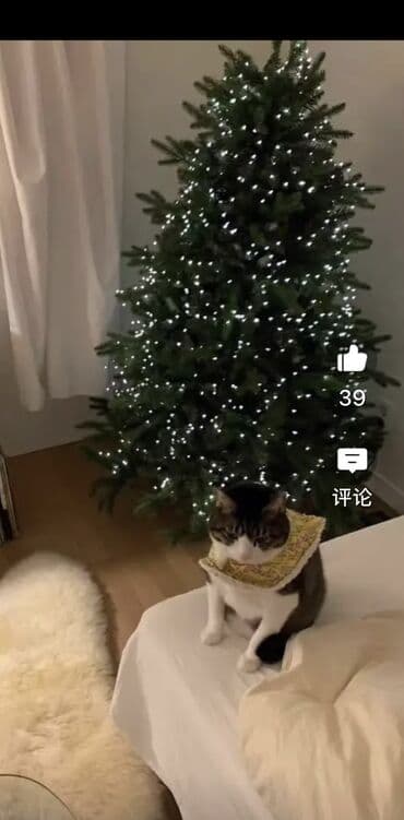 Искусственная рождественская ёлка без гирлянды 
1.5 м рост