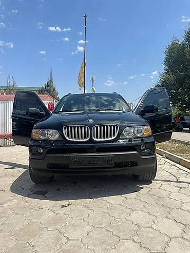 BMW X5: 2005 г., 4.6 л, Автомат, Бензин, Внедорожник
