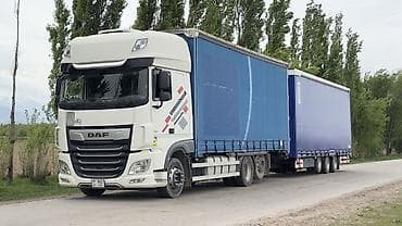 даф 2008: Грузовик, DAF — 2