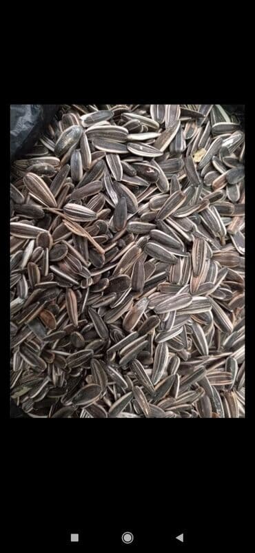 бу мебель бишкек: Ала семичка бар тонна — 1