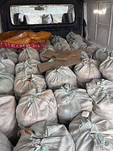 Морковь Оптом, В розницу, Самовывоз