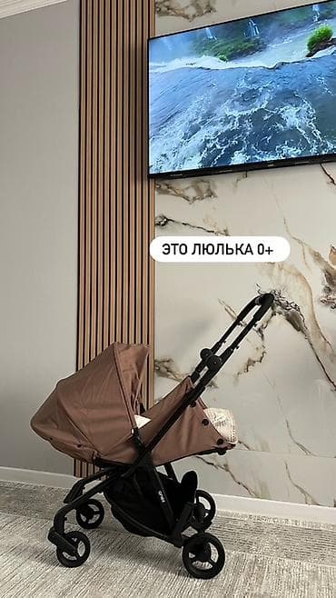 Коляски: Детская коляска Anex (универсальная 2-в-1) - Конфигурации: - Люлька — 1