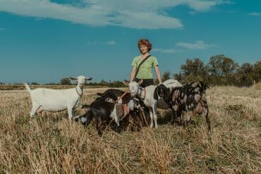 чебурашка бишкек: Домашнее Козье молоко. Экологически чистый продукт. Находимся в — 10