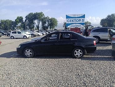 касем машина: Honda Accord: 2001 г., 2 л, Автомат — 2