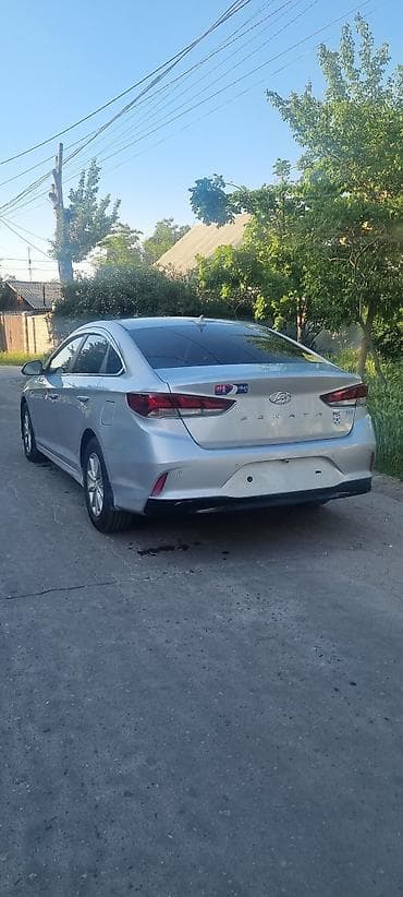 kia elantra: Hyundai Sonata: 2019 г., 2 л, Автомат, Газ, Седан — 6