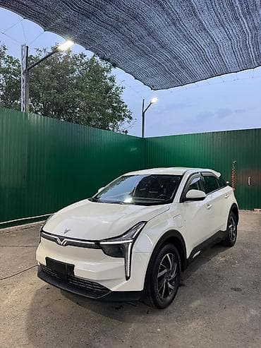 нетта л: BYD : 2022 г., 0.1 л, Автомат, Электромобиль, Кроссовер — 2