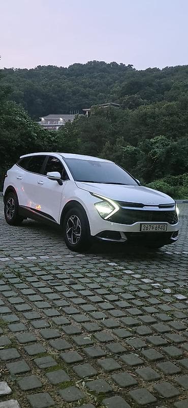 transporter multivan: Kia Carnival: 2020 г., Минивэн — 8