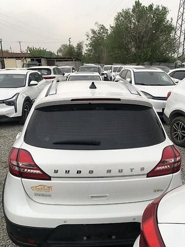 tesla model x: BYD Destroyer 05: 2020 г., Электромобиль, Кроссовер — 4