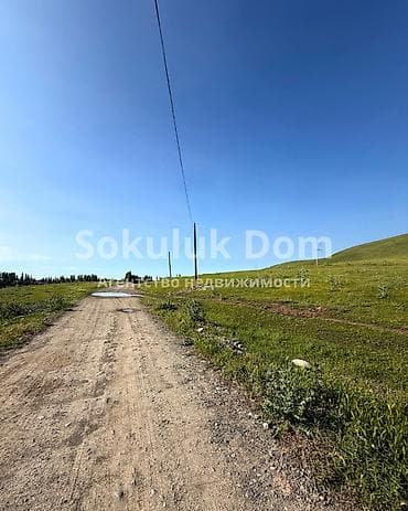 с сосновка: 20 соток — 5