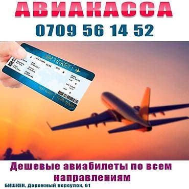 тулпар базар: Авиабилеттер арзан баада бардык багыттарга. Онлайн уйнуздон чыкпай — 1