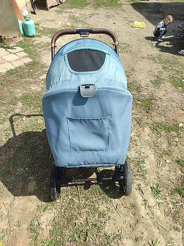 толокары бишкек: Балдар арабасы, Башка бренд, түсү - Көгүлтүр, Колдонулган, Өзү алып кетүү — 2