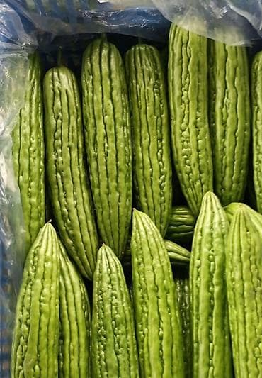 Овощи свежего сбора — ассортимент для дома и ресторанов: - — 4