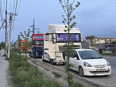 mtz 80: Тягач, DAF, 2014 г. — 3