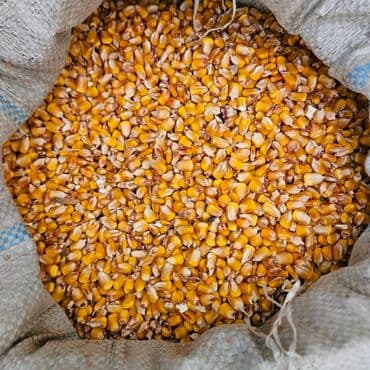 грабли с черенком цена бишкек: Продаю рушенную кукурузу 25сухой чистый сорт Китайский — 1