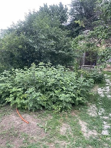 по ленинское: Продаю дом первая линия.Село Жал в Ленинском р-не,учаток по — 10