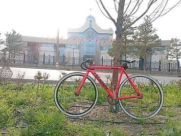 fixed gear: Городской велосипед, Tsunami, Рама M (156 - 178 см), Новый — 1