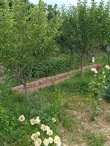 контейнер кудай берген: С .сокулук.(саз) участок 4сотых,40кв/м Двухэтажный дом с мансардной — 7