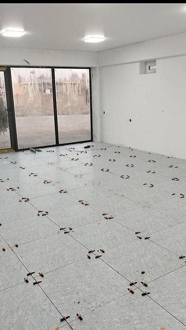 кафель плита: Услуги плиточник на поль дешевле быстро и качественно — 5