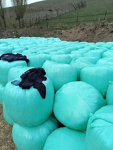 Силос кемин 
высшего качества