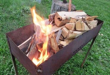 купить семена павловнии бишкек: Дрова — 1