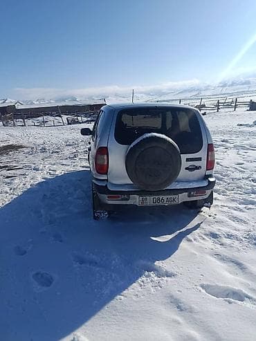 Chevrolet: Chevrolet Niva: 2004 г., 1.7 л, Механика, Бензин, Внедорожник — 3