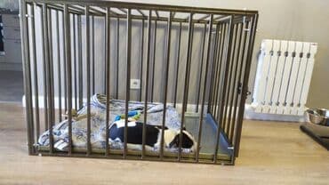 маленькая мантышница: Будка для собаки. Вальер для собак Мусорный бак. Перила. Тапчан — 14