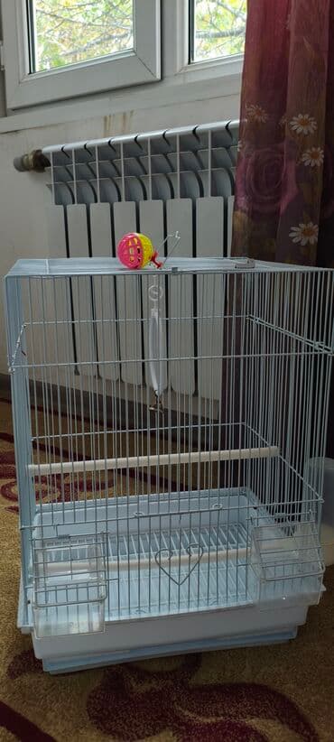 стрижка кошек с выездом на дом: Клетка для птиц, корм в подарок — 1