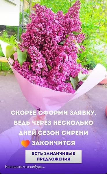 каркаде цена за кг: Сирень — душистые пышные сезонные букеты без упаковки. Веточка 50сом — 2