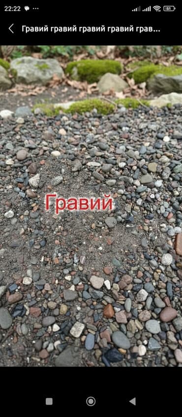 перевезти домашние вещи из бишкека в россию: Гравий шагал гравий шагал гравий шагал гравий шагал гравий шагал — 1