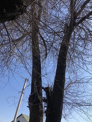 печка котёл: БЕКЕР БЕРИЛЕТ !!!КАРА ЖЫГАЧ ЧОН 2 туп СРОЧНО ДАЕТСЯ!!!Два больших — 3