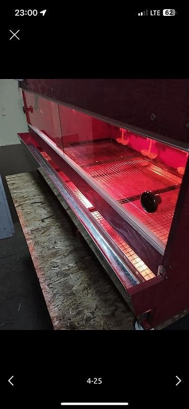 Башка жаныбарлар: Брудер для цыплят полный комплект сделано из фанеры 12мм размер 50 — 3