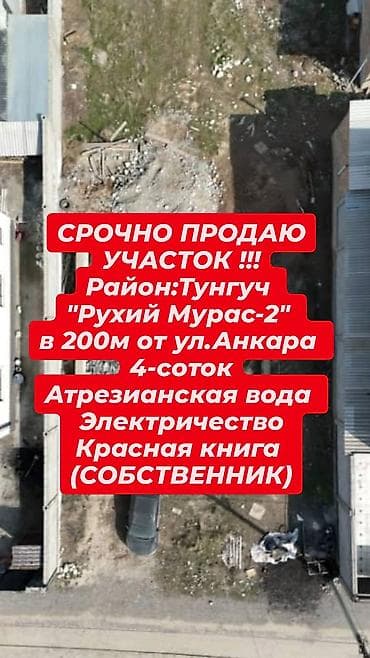 советский скрябина: 4 соток, Для строительства, Красная книга — 2