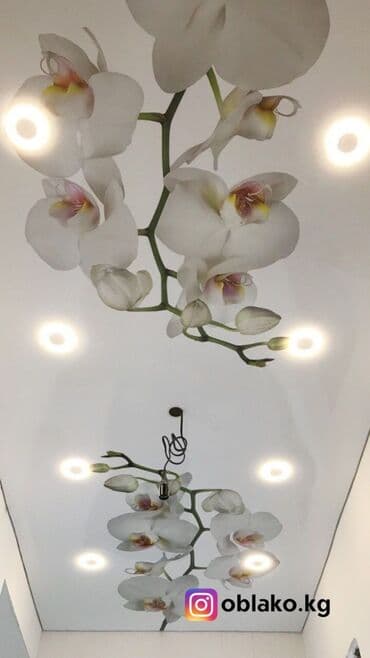 пластиковые панели для потолка цена бишкек: Натяжной потолок Глянцевое, Матовое, 3D потолки Бесплатный замер, Гарантия, Бесплатная консультация — 4