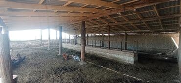 дом село военно антоновка: Дом, 1000 м², 2 комнаты, Собственник, Старый ремонт — 7