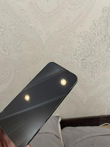 apple 8 plus: IPhone 12 Pro Max, 128 ГБ, Pacific Blue — 5