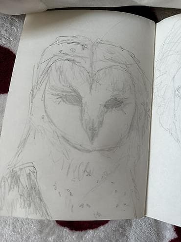 Дом и сад: Всем привет! Рисую ваших любимых питомцев (да и не только их) по фото — 8